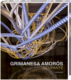 Grimanesa Amorós Ocupante 2016