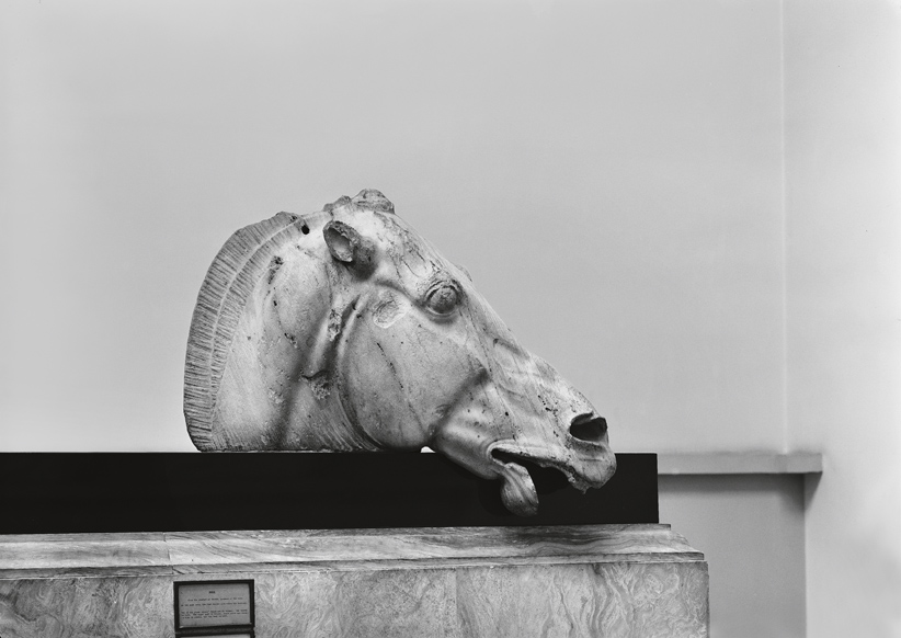 Pferdekopf vom Viergespann der Selene, Ostgiebel des Parthenon, Akropolis, um 437/432 v. Chr., British Museum London, © Hirmer Fotoarchiv