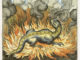 Emblem XXIX, „Wie der Salamander lebet im Fewr, also auch der Stein“, aus: Michael Maier, Atalanta fugiens, Oppenheim 1618