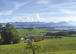 Gasthof Alpenblick - Ausblick